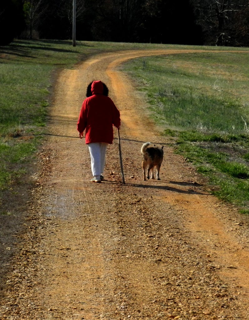 Saying goodbye pet grief coaching package